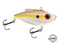 Pro Ripper 18 Pro Ripper -Abu Garcia Sales Store 0SZKwwtdz9bZ Aj 3nxg83HMQ