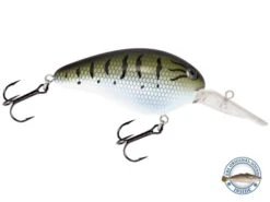 Dive Master 14 -Abu Garcia Sales Store 0ZogH6Mzeu3IAzYfkA9B2Iv g