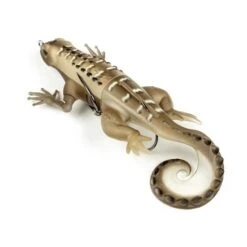 Skitter Lizard -Abu Garcia Sales Store 1MKdfNiqcC G5Xms28qeiIYOA