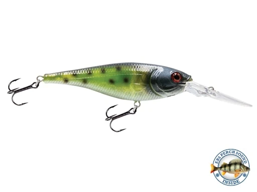 EBS Walleye 90 7 EBS Walleye 90 - Image 5