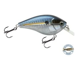 Primetyme SQ 2.0 -Abu Garcia Sales Store 2tIRrR62IjtkwJZOgI6XAHC9A