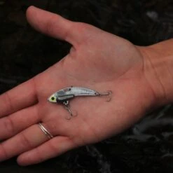 SteelShad Mini - 1/4 Oz - Silver (2pk) -Abu Garcia Sales Store 4rHIZ08S11qHzutefYgW5k200