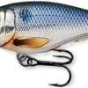 Shad Crankbait -Abu Garcia Sales Store 6 nmKQLzqb0K4FRN3vI uwSlM