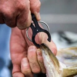 T-H Marine G-Force Conservation Cull System Gen 2 11 T-H Marine G-Force Conservation Cull System Gen 2 -Abu Garcia Sales Store 6tcZ9W4F4nq0mVBse86G si8A