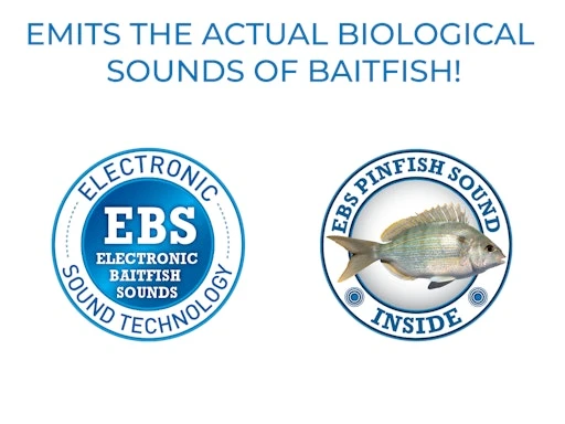 Venom 6 SW 10 Venom 6 SW - Image 8