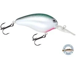 Dive Master 14 -Abu Garcia Sales Store AHj rV8tA6 JHX23Ih2K5QiQc