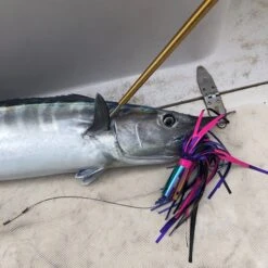 All Speed Wahoo Lure GI-24