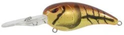 Spro RkCrawler MD 55 -Abu Garcia Sales Store Azt5Tux5nT9eiDwvnISor1HnQ