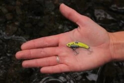 SteelShad Mini - 1/4 Oz - Yellow Shad (2pk) -Abu Garcia Sales Store BQ6gaJx96CEfuhrZ0ryzWqSQY