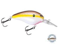 Dive Master 14 -Abu Garcia Sales Store BXpXbwT3Z9 WqVOqgen1aDArU