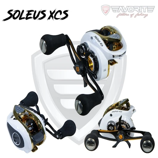 Favorite Soleus XCS 4 Favorite Soleus XCS - Image 2