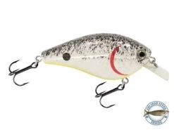 Primetyme SQ 2.0 -Abu Garcia Sales Store CZIJrrqSFasisgnp9LDYj4pyA