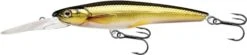 Rainbow Smelt Jerkbait Deep Dive -Abu Garcia Sales Store DSQQMIgFWZdZ3F4J6mdYIhjQ4