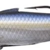 Hollow Body Shiner -Abu Garcia Sales Store Dt1XudGmjkyG9KDfYubQ1jlbw