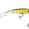 Pro Sizzle -Abu Garcia Sales Store E7NS8DlrG2Glaz9SQ8eBMsykk