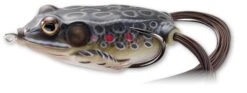 Hollow Body Frog -Abu Garcia Sales Store EGoEjh0XRDqAb7 ovb349Phvw