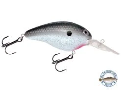 Dive Master 14 -Abu Garcia Sales Store EVu Y5ATi 3t64xq6a9g0f E8