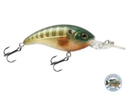 Deep Impact 6 -Abu Garcia Sales Store FIqlyQ8BalU ysTBpqngY zCs