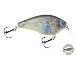 Primetyme SQ 2.0 -Abu Garcia Sales Store FsycrG15EoM2HdfHAECSh1kl0