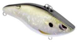 SPRO - Wameku Shad 70 Lipless Crankbait -Abu Garcia Sales Store GQwwB5htC5tirhZPEL b9ybQE