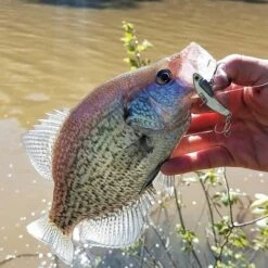 SteelShad Mini - 1/4 Oz - Silver (2pk) -Abu Garcia Sales Store GTaJxTXxIRUC6pK1rftY FKPo