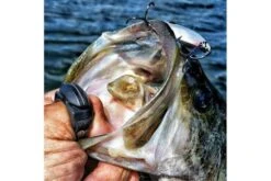 GoFish Fishing Line Cutter Ring -Abu Garcia Sales Store Gn1eB0dT0EilA6RTGmar1uUwE