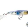 Pro Sizzle Jr -Abu Garcia Sales Store H7ZY7hFsfxNItxXOPP7 fdofw