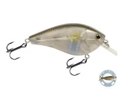 Primetyme SQ 2.0 -Abu Garcia Sales Store I80BzS1CztR3HXyAwuqeJwn34