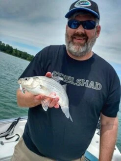 SteelShad Mini - 1/4 Oz - Silver (2pk) -Abu Garcia Sales Store JHlzL6sS8dOOpzFLcRR O6aqo