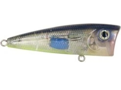 Walk N Pop 67 -Abu Garcia Sales Store KNUM8FMa 1JyogSidyteRcy w
