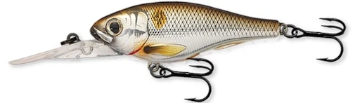 Shad Crankbait 4 Shad Crankbait - Image 2