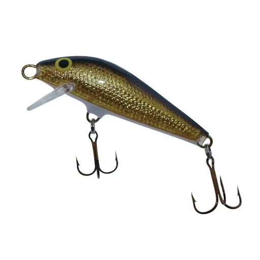 AC Shiners 250 5 AC Shiners 250 - Image 3