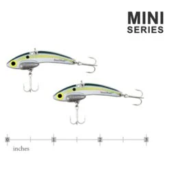 SteelShad Mini - 1/4 Oz - Sexy Shad (2pk) 30 SteelShad Mini - 1/4 Oz - Sexy Shad (2pk) -Abu Garcia Sales Store MxdkUO2kO 5tpIMuoU4ifGWUQ