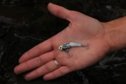 SteelShad Mini - 1/4 Oz - Silver (2pk) -Abu Garcia Sales Store NkXI8NYm9UXo M08acC3pJ4o4