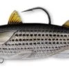 Mullet Swimbait -Abu Garcia Sales Store Q3z9wSEdh7fkBFurXte Z6mq8