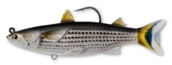 Mullet Swimbait