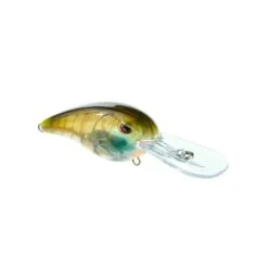 Spro RkCrawler MD 55 -Abu Garcia Sales Store R1BaESpJD fS6WZKmOAhASZTE