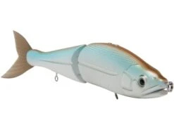 B Venom 6 -Abu Garcia Sales Store ROLMdInyXIIhsTyjYeppJlrzA