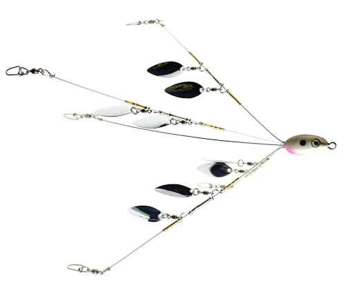 J-Pod Spin Flash 4 J-Pod Spin Flash - Image 2