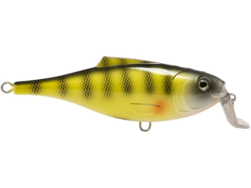 BullDozer 3 BullDozer