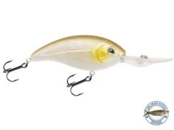 Deep Impact 18 -Abu Garcia Sales Store UFcdTN5dYGMeiF 1Jsd1b7OuU