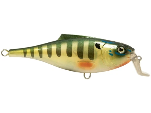 BullDozer 4 BullDozer - Image 2