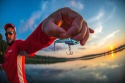 SteelShad Mini - 1/4 Oz - Sexy Shad (2pk) 27 SteelShad Mini - 1/4 Oz - Sexy Shad (2pk) -Abu Garcia Sales Store VzpBv9QsiCcwWGD6ScJnf1VXg