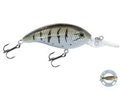 Deep Impact 6 -Abu Garcia Sales Store WD8GaHl9ijpXYfHJLF keEoVk