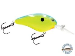 Dive Master 14 -Abu Garcia Sales Store Xfnt92sRY7UvtDeVFs AghHu8