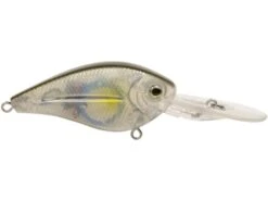 FlatMaster -Abu Garcia Sales Store Xo55XX7AFQzcjm54iFkJCZDlw