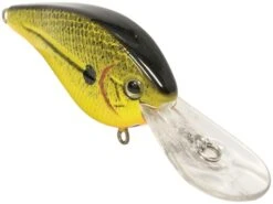 FlatMaster -Abu Garcia Sales Store YN99wEcy8rAVVtfDNrfdY1 Vw