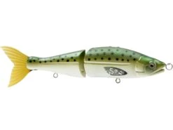 Venom 6 SW 21 Venom 6 SW -Abu Garcia Sales Store cTwnurRwJedrwJL XBziCEGAI