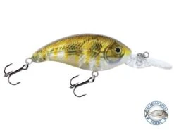 Deep Impact 6 -Abu Garcia Sales Store cX4y AqCcpXgv8v94FHKGfIH0