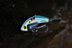 SteelShad Mini - 1/4 Oz - Sexy Shad (2pk) 25 SteelShad Mini - 1/4 Oz - Sexy Shad (2pk) -Abu Garcia Sales Store d5VPEjrJQFcAHXX8YdFFwwxeU